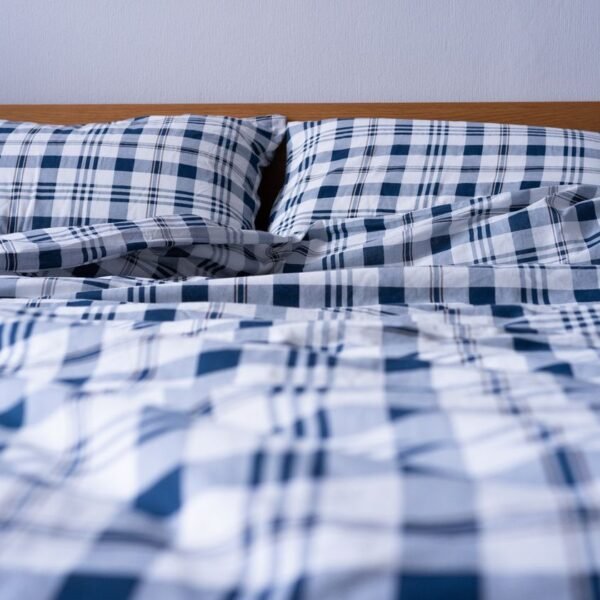 White & Blue Checkered Bedsheet – Double Size